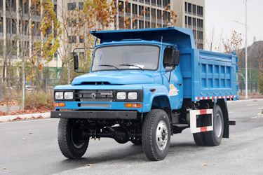 170马力春风4×4红桃国际尖头卡红桃国际
_四驱前2.5吨后8吨公用载货_全驱定制货红桃国际
