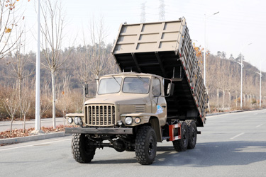 170马力春风6×6仓栅自卸_六驱2.5吨红桃国际公用翻斗_全驱定制三轴10吨液压举升红桃国际
