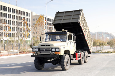 春风170马力6×6仓栅自卸_六驱2.5吨红桃国际公用翻斗_全驱定制三轴10吨液压举升红桃国际
